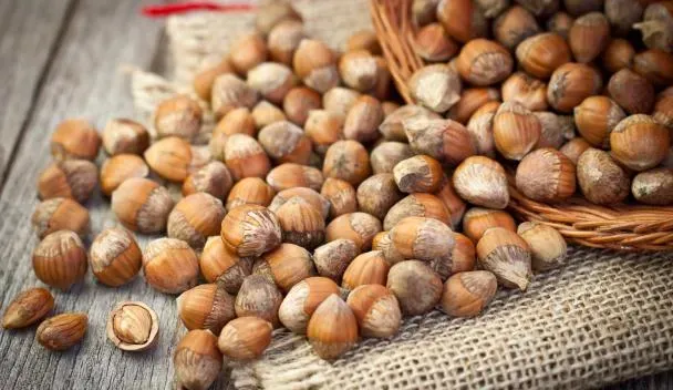 خرید و قیمت روز فندق انیس
