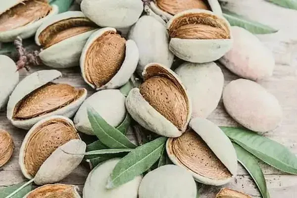 قیمت خرید بادام درختی دوپوست + خواص، معایب و مزایا
