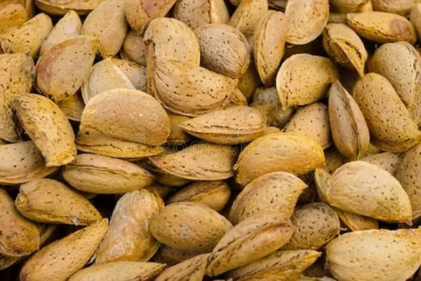 قیمت خرید بادام درختی دوپوست + خواص، معایب و مزایا