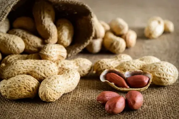 قیمت و خرید مغز بادام زمینی شور + فروش ارزان