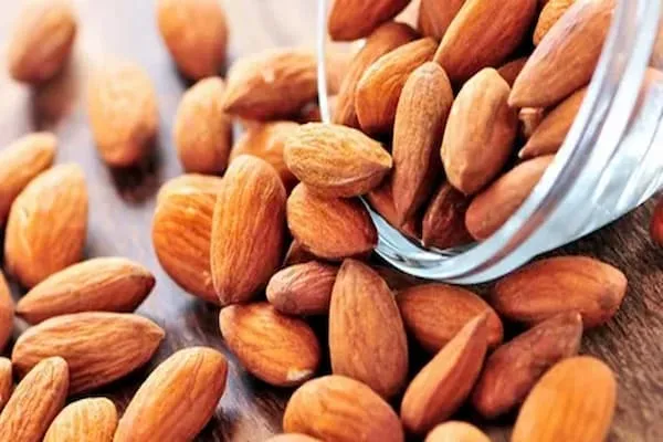 معرفی بادام درختی خام + بهترین قیمت خرید
