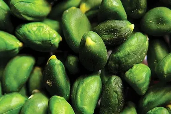 راهنمای خرید مغز پسته سبز + قیمت عالی