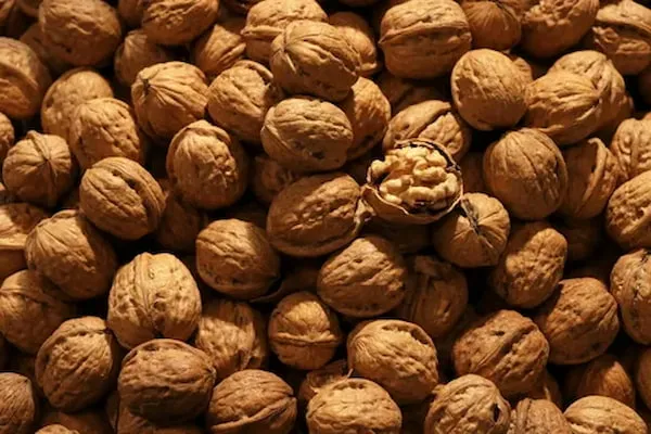 خواص گردو تازه + قیمت خرید، کاربرد، مصارف و خواص