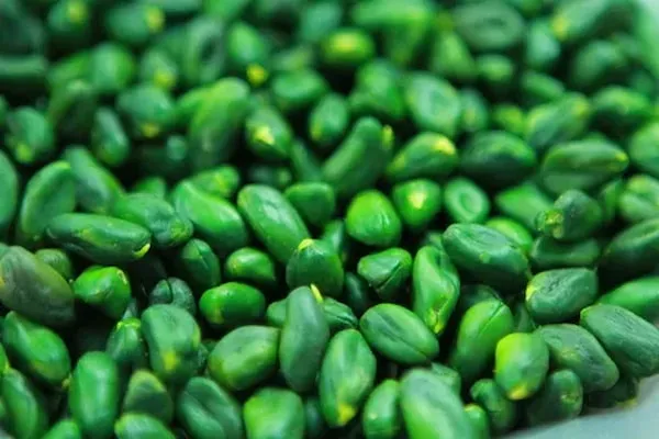 راهنمای خرید مغز پسته سبز + قیمت عالی