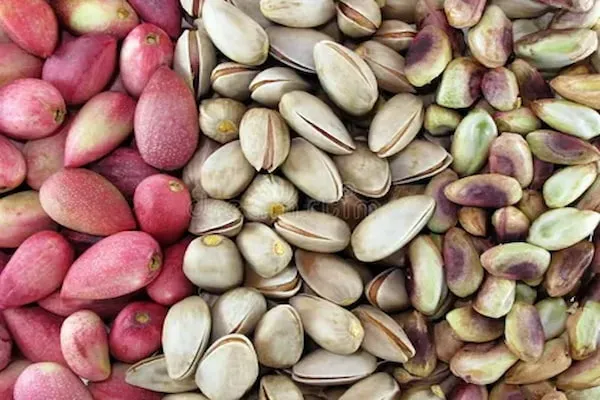 قیمت پسته خندان تازه + مشخصات بسته بندی عمده و ارزان