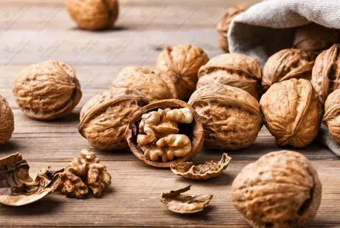 قیمت خرید گردو خشک شده + تست کیفیت