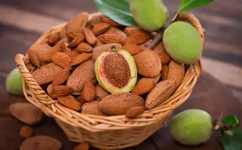 خرید انواع بادام سنگی + قیمت