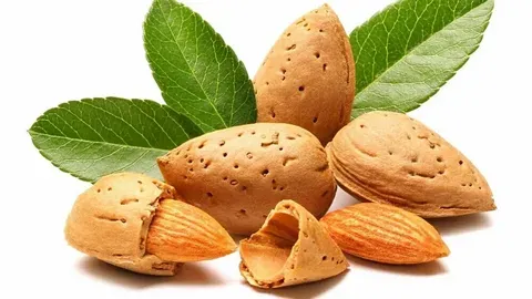 آشنایی با بادام مامایی + قیمت استثنایی خرید انکر