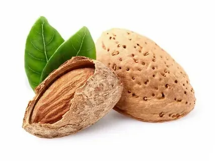 خرید انواع بادام سنگی + قیمت