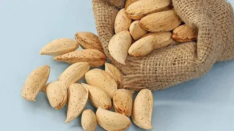 آشنایی با بادام مامایی + قیمت استثنایی خرید انکر