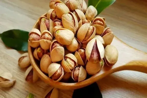 قیمت خرید پسته اکبری شور + خواص، معایب و مزایا