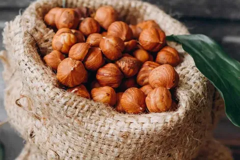 خرید و قیمت روز فندق انیس