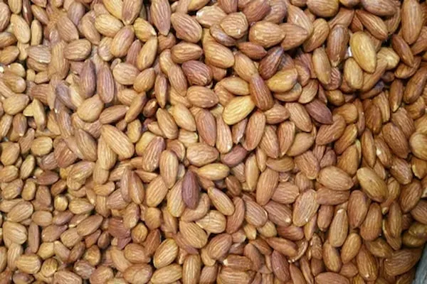 قیمت و خرید مغز بادام زمینی شور + فروش ارزان