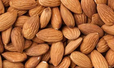 خرید و لیست قیمت بادام درجه یک با بهترین کیفیت