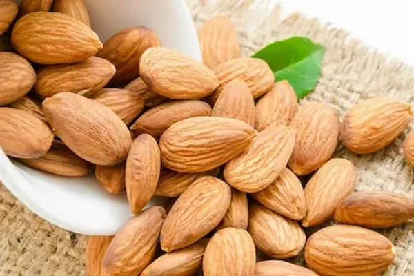 معرفی بادام درختی خام + بهترین قیمت خرید