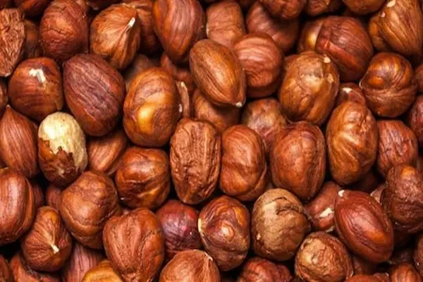 خرید فندق در بسته‌بندی وکیوم + بهترین قیمت