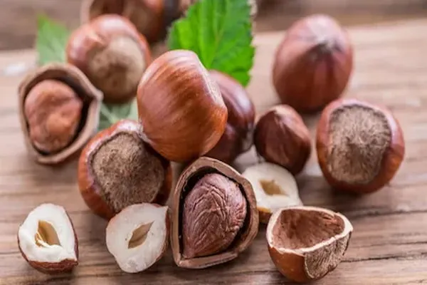 معرفی انواع فندق دارچینی + قیمت خرید روز
