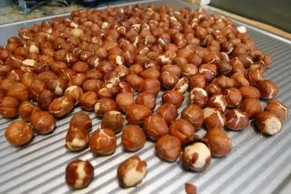 قیمت خرید فندق بوداده + فروش در تجارت و صادرات