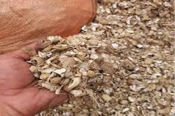 خرید و قیمت روز پودر پوست بادام
