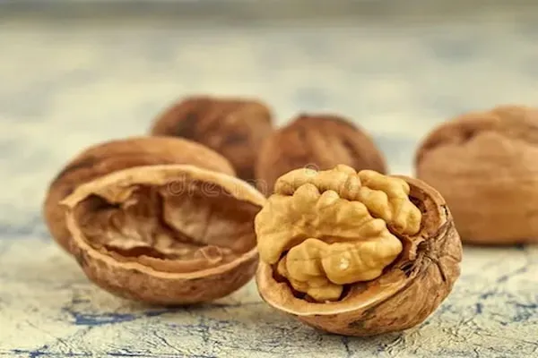 قیمت مغز گردو با پوست + مشخصات بسته بندی عمده و ارزان
