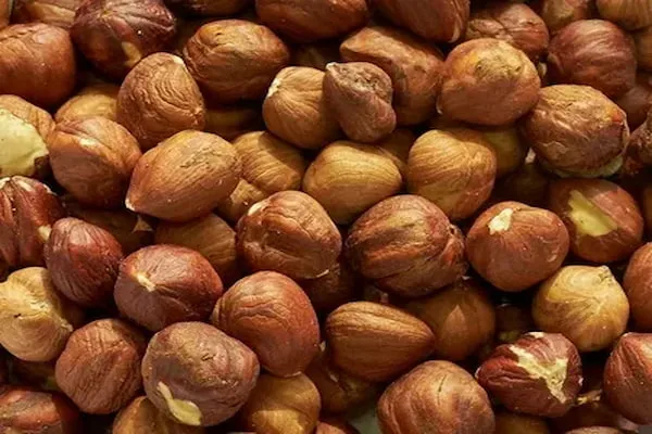 آشنایی با فندق زعفرانی + قیمت استثنایی