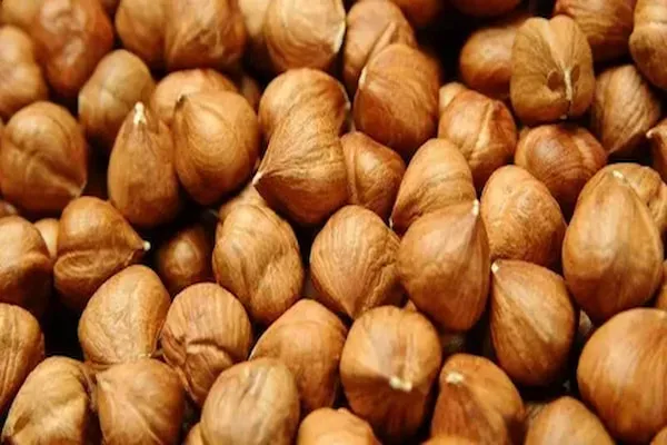 قیمت خرید فندق بوداده + فروش در تجارت و صادرات
