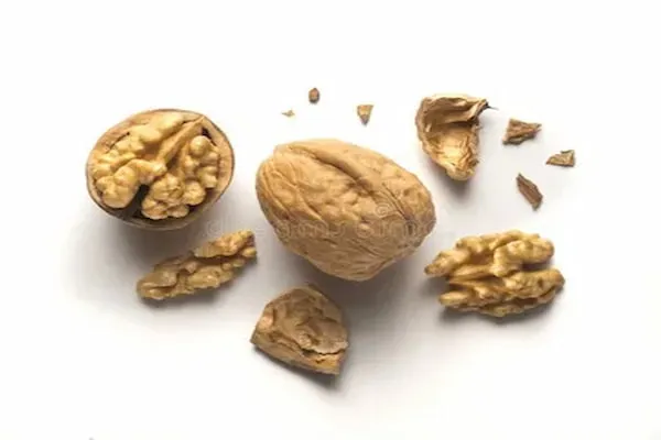 قیمت مغز گردو با پوست + مشخصات بسته بندی عمده و ارزان