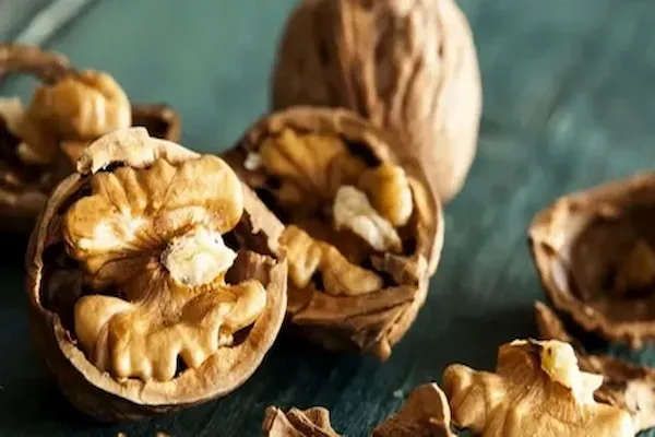 قیمت مغز گردو با پوست + مشخصات بسته بندی عمده و ارزان