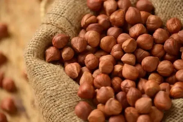 بهترین مغز فندق خام + قیمت خرید عالی