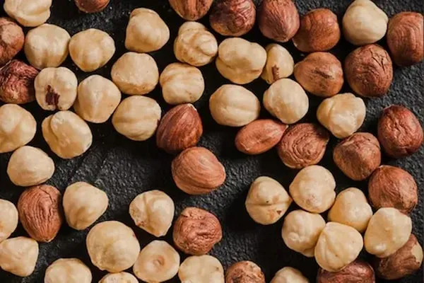 بهترین مغز فندق خام + قیمت خرید عالی